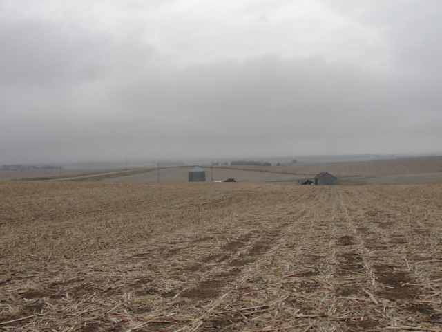 150.18 Acres Dryland Crop Ground, West of Pilger, NE