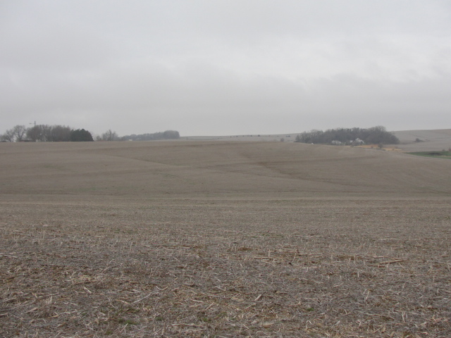 74.121 Acres Dryland Crop Ground, Northeast of Stanton, NE